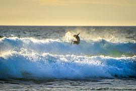 Photo Surf à la Palue • Crozon