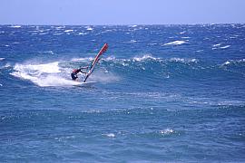Photo Windsurf à St Pierre • La Réunion