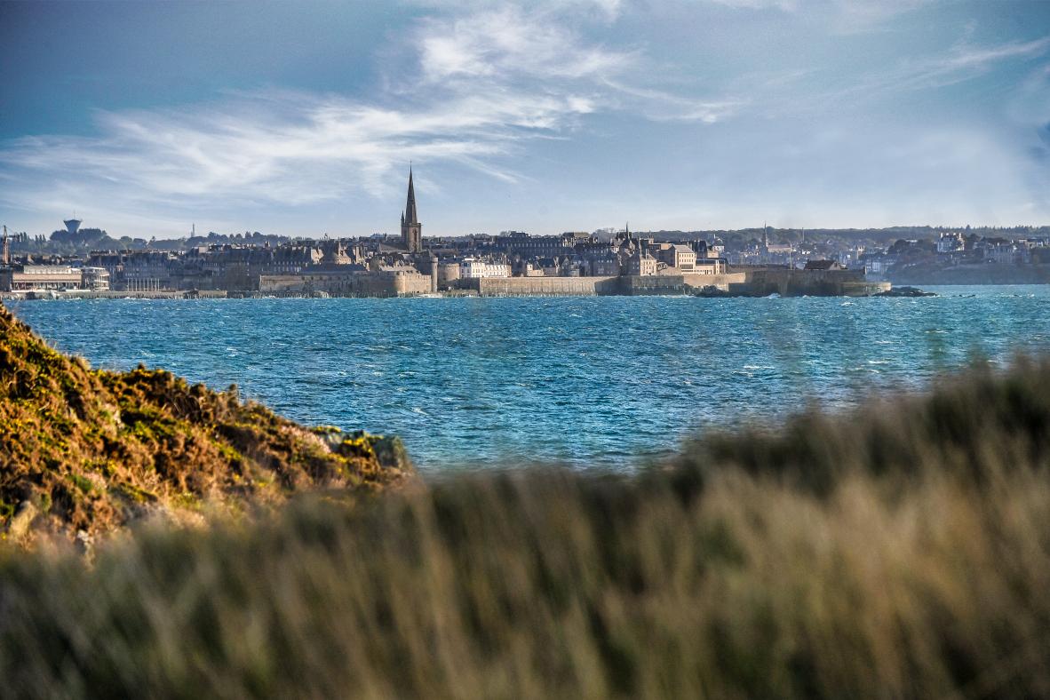 Silhouette de la cité corsaire de Saint-Malo vue par-delà l’eau bleue, cadrée depuis un premier plan de végétation sauvage.