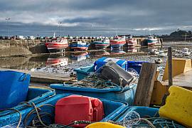 Photo Roscoff • Le port de pêche