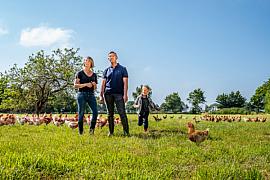 Photo Reportage chez un éleveur de poulets de Janzé